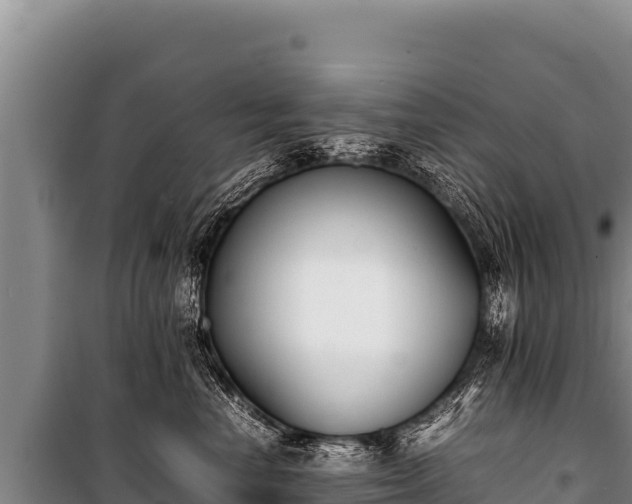 X0000100860666200806271201