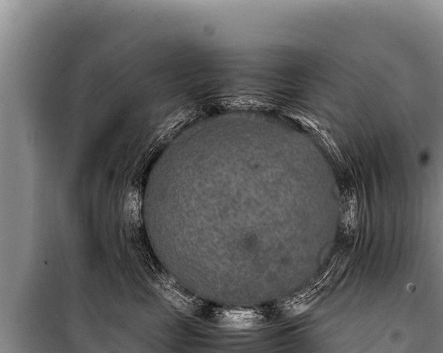 X0000100860669200806271201