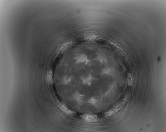 X0000100860670200806271201