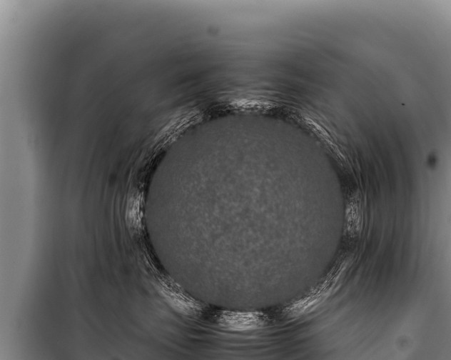 X0000100860671200806271201