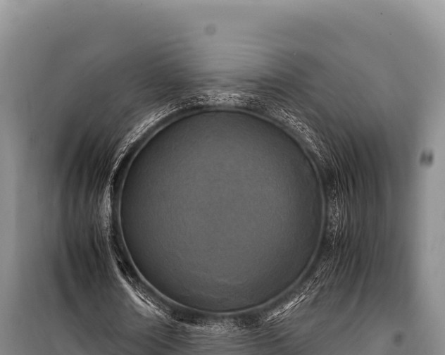 X0000100860674200806271200