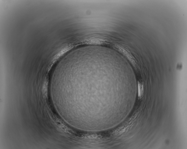 X0000100860675200806271200