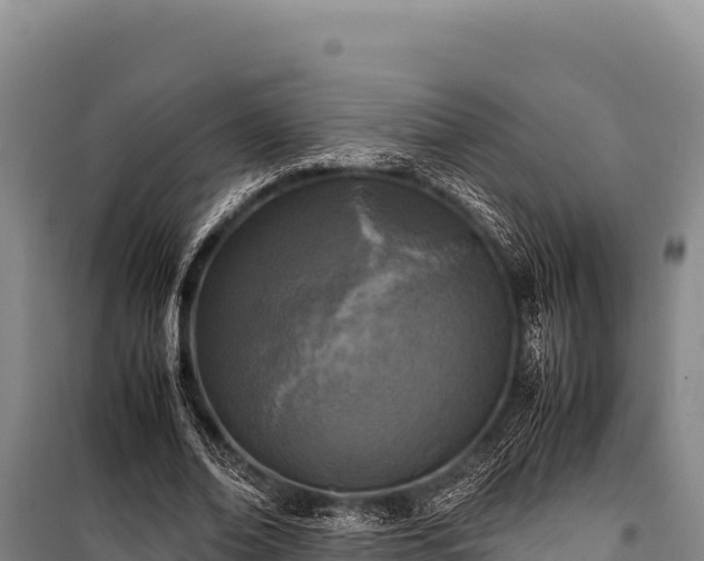 X0000100860678200806271200