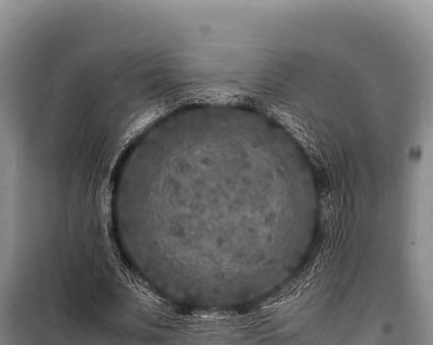 X0000100860679200806271200