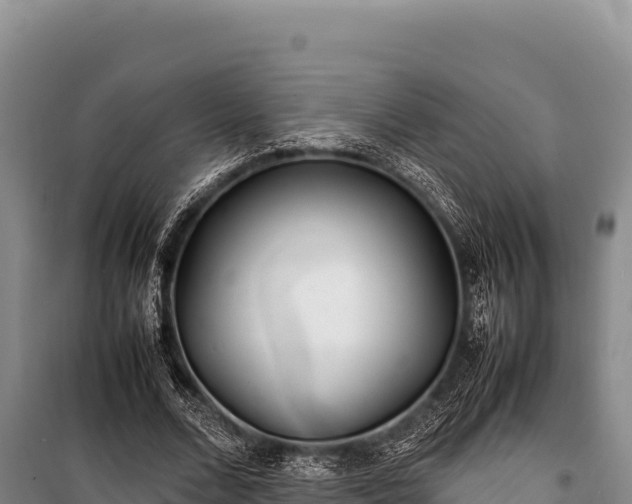 X0000100860680200806271200