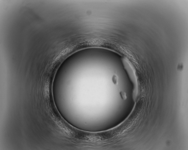 X0000100860681200806271200