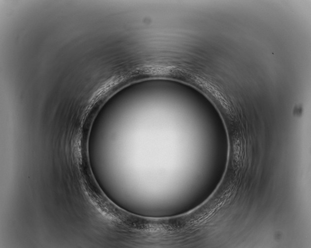 X0000100860682200806271200