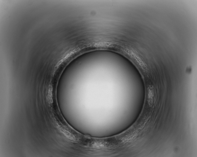 X0000100860684200806271200