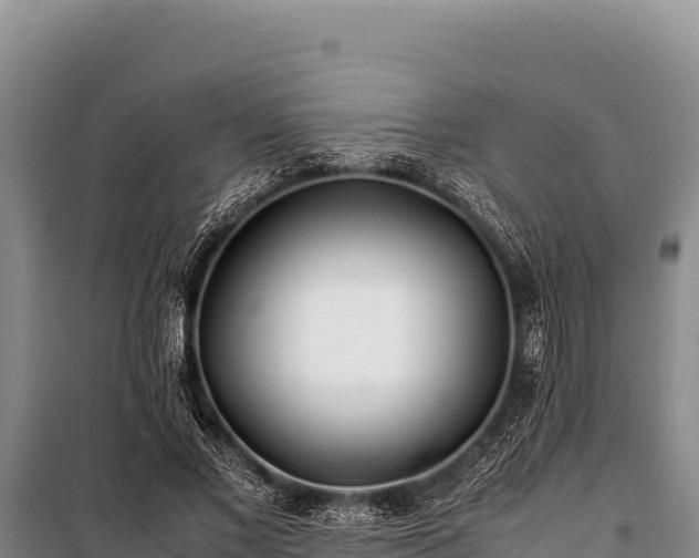 X0000100860685200806271200