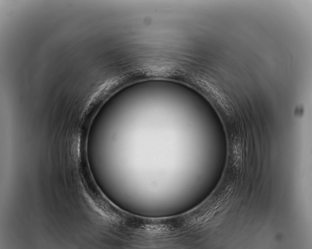 X0000100860686200806271200