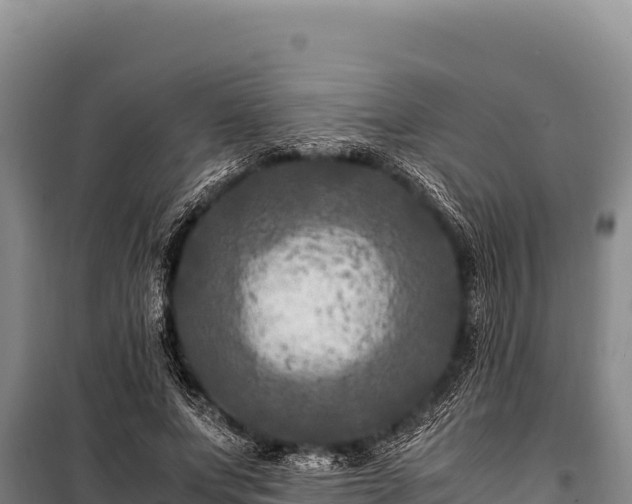 X0000100860687200806271200