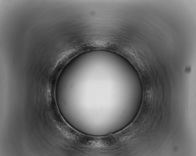 X0000100860688200806271200