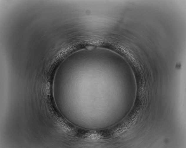 X0000100860689200806271200