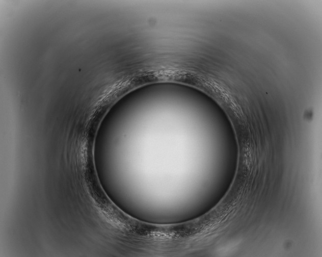 X0000100860690200806271200