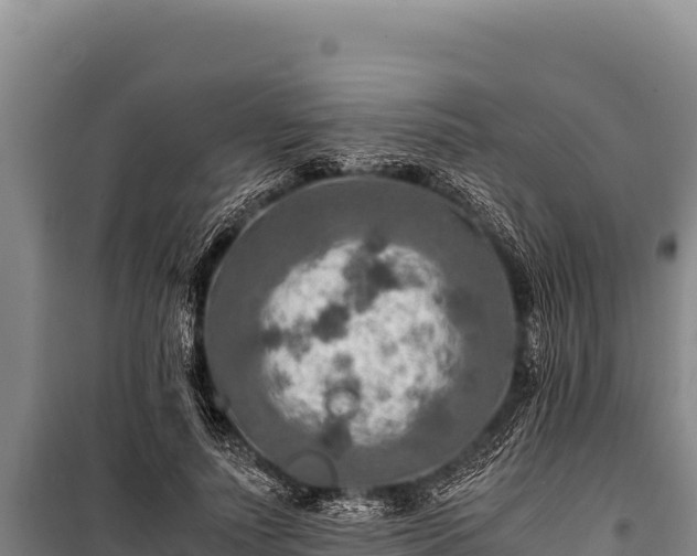 X0000100860691200806271200