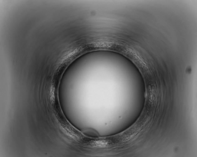 X0000100860692200806271200