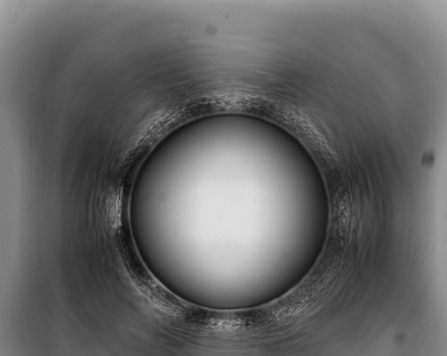 X0000100860694200806271200