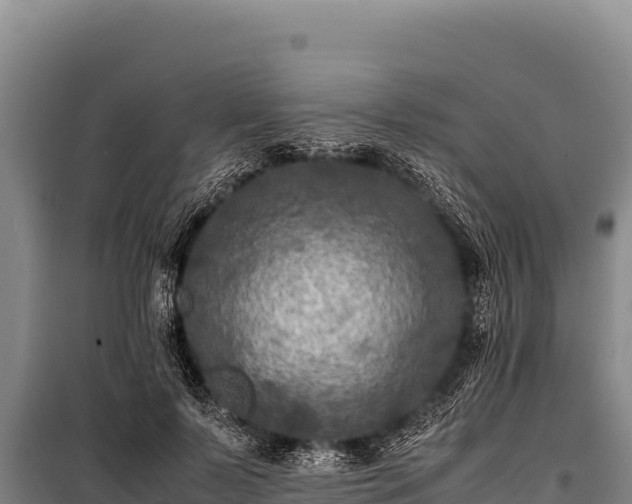 X0000100860695200806271200