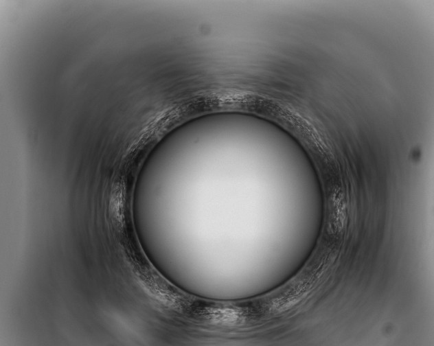 X0000100860698200806271200