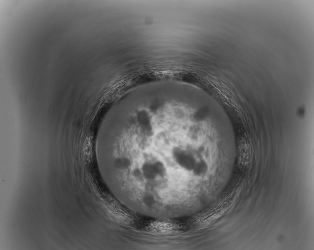 X0000100860699200806271200