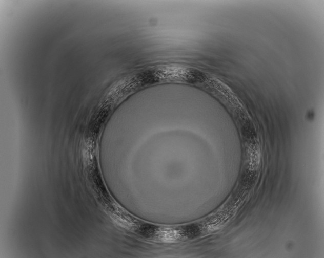 X0000100860701200806271200