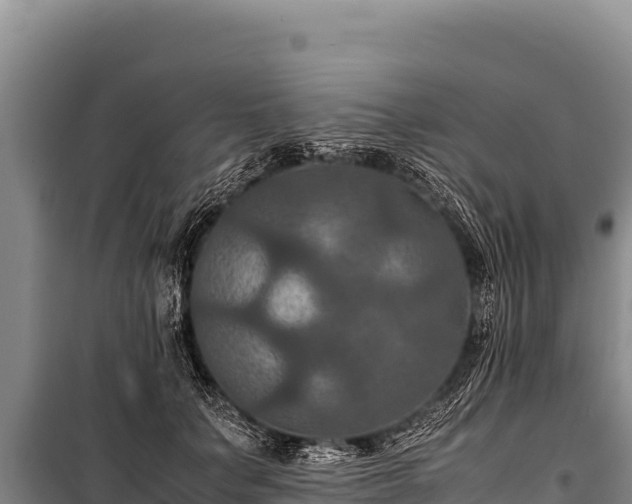 X0000100860703200806271200