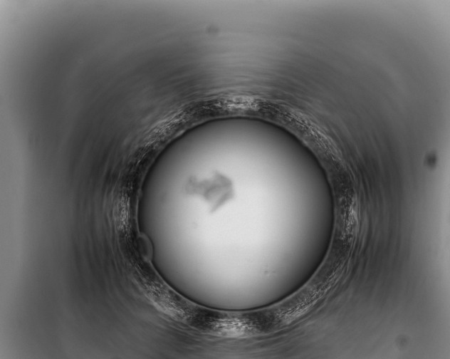 X0000100860704200806271200