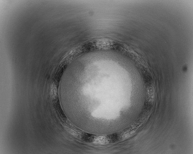 X0000100860705200806271200