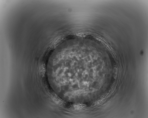 X0000100860707200806271200