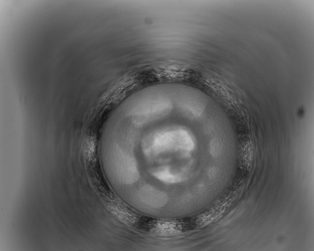 X0000100860709200806271200