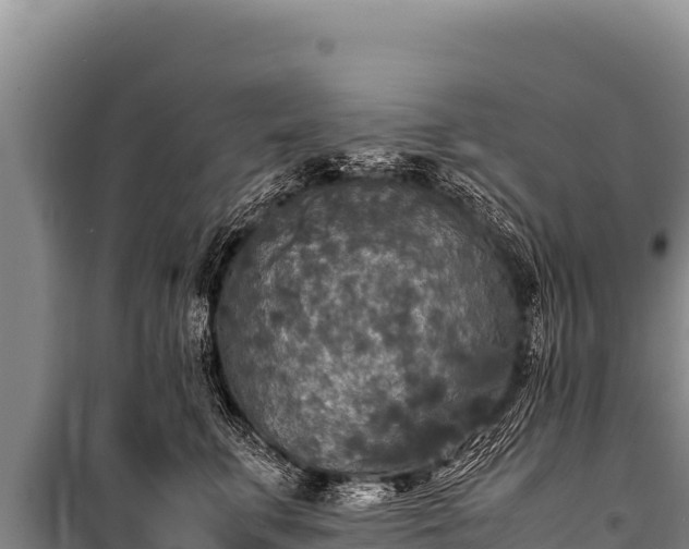 X0000100860711200806271200