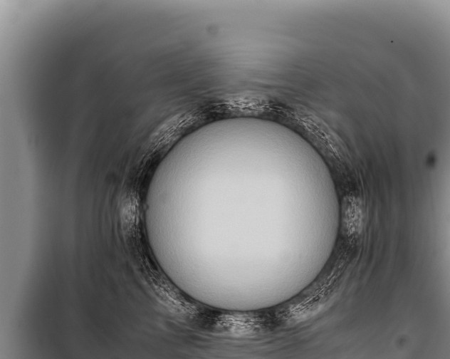 X0000100860713200806271200