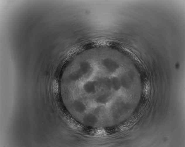 X0000100860715200806271200