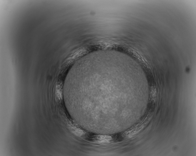 X0000100860719200806271200