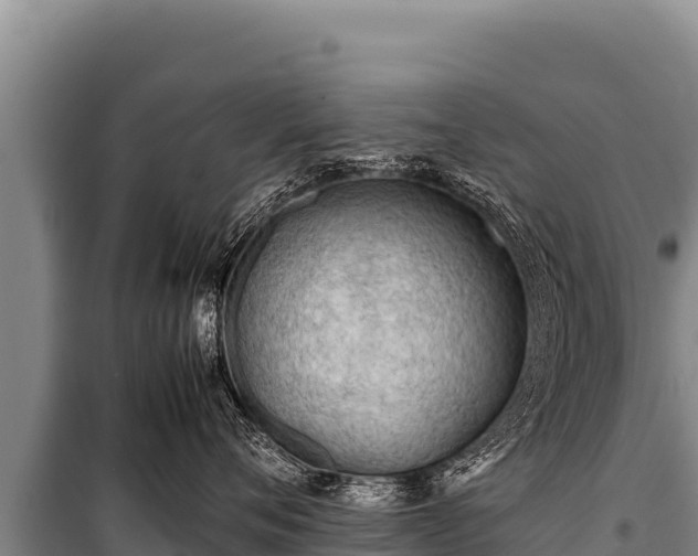 X0000100860720200806271200