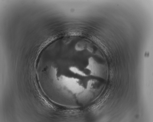 X0000100860721200806271159