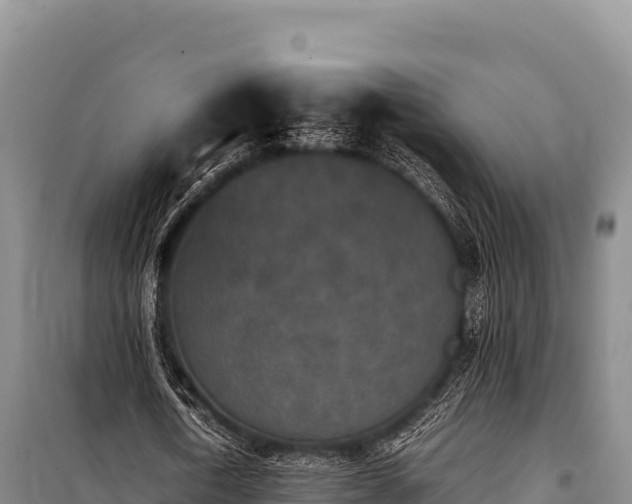 X0000100860722200806271159