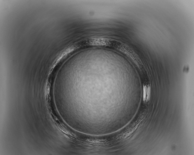 X0000100860723200806271159