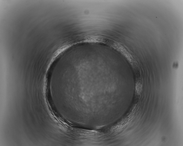 X0000100860724200806271159