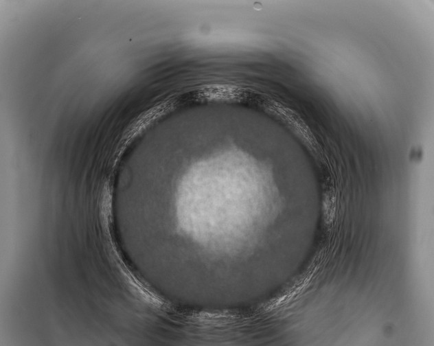 X0000100860725200806271159