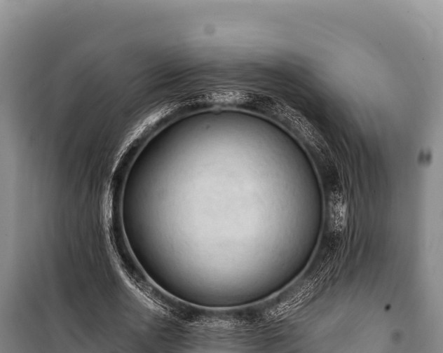 X0000100860726200806271159