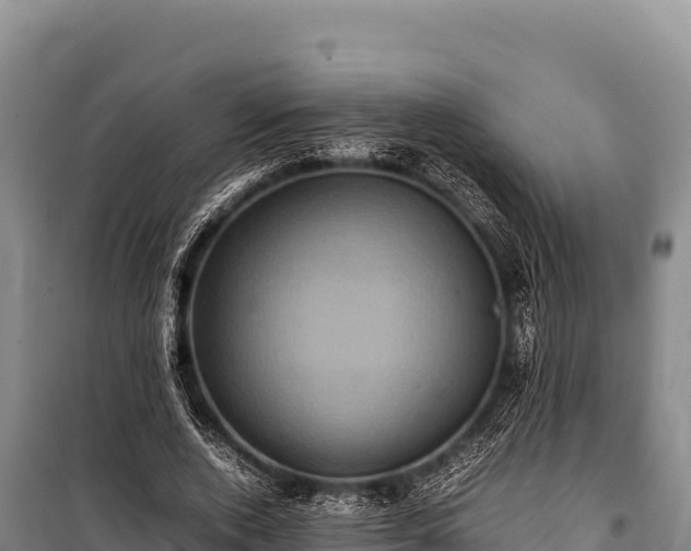 X0000100860728200806271159