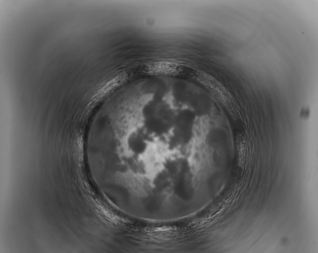 X0000100860729200806271159