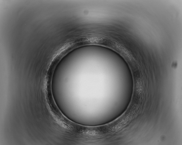 X0000100860730200806271159