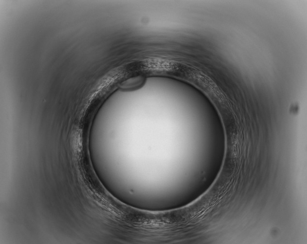 X0000100860731200806271159