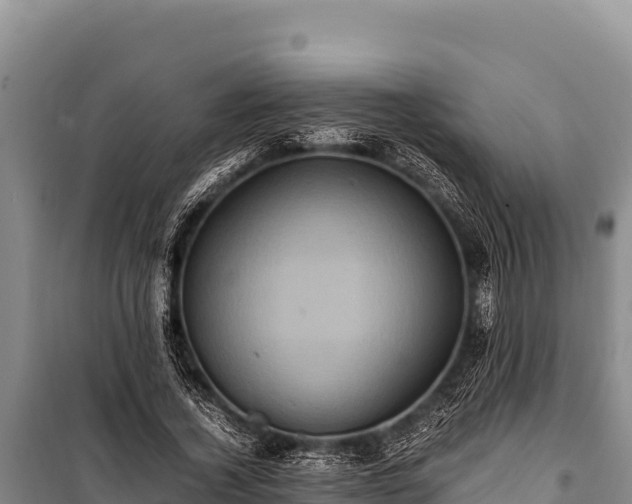 X0000100860732200806271159