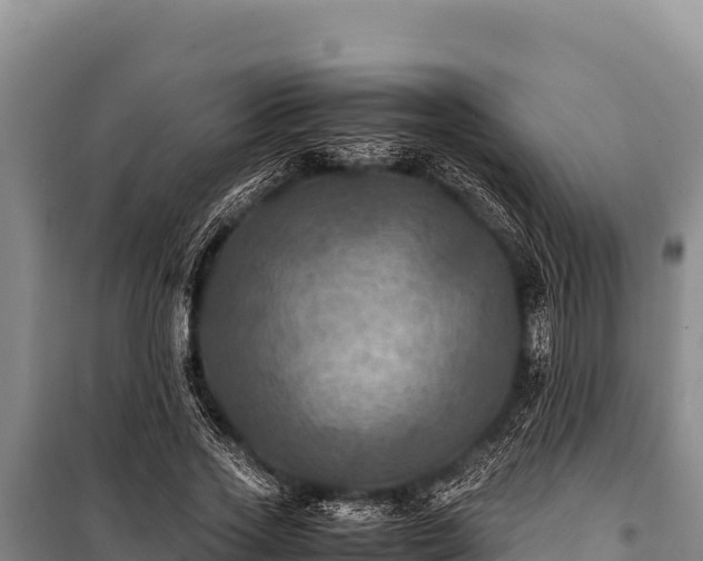 X0000100860733200806271159