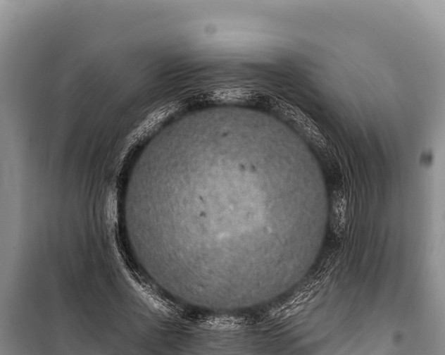 X0000100860734200806271159