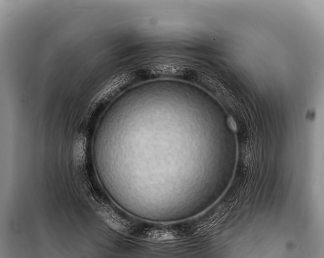 X0000100860735200806271159