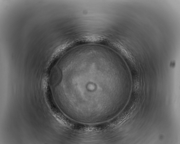 X0000100860736200806271159